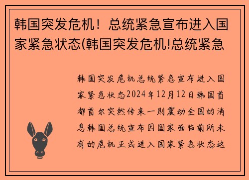 韩国突发危机！总统紧急宣布进入国家紧急状态(韩国突发危机!总统紧急宣布进入国家紧急状态)