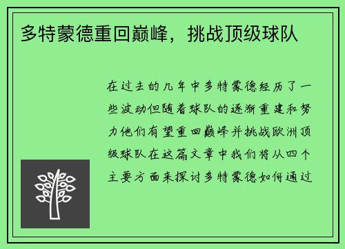 多特蒙德重回巅峰，挑战顶级球队