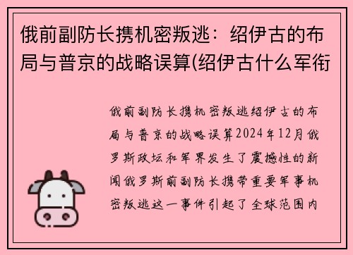 俄前副防长携机密叛逃：绍伊古的布局与普京的战略误算(绍伊古什么军衔)